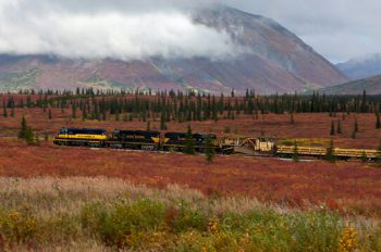 Train Through The Tundra