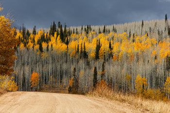 Utah Fall Color
